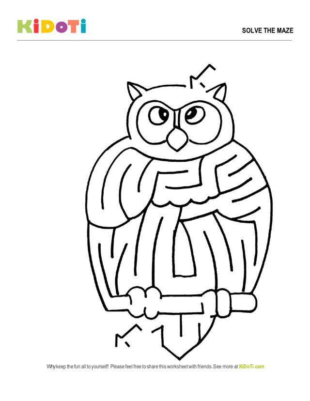 Owl Maze
