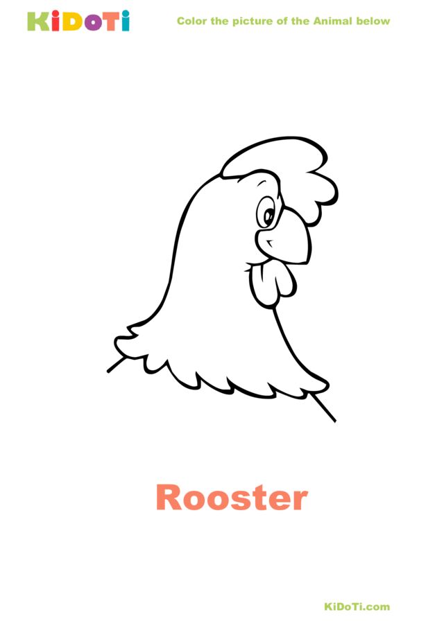 Animal Coloring Pages – KiDOTI