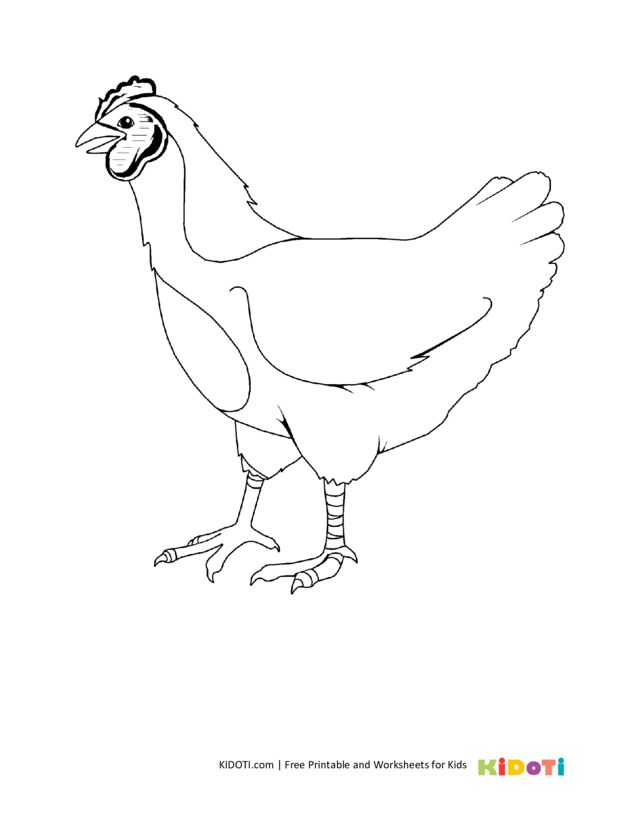 Farm chicken coloring pages