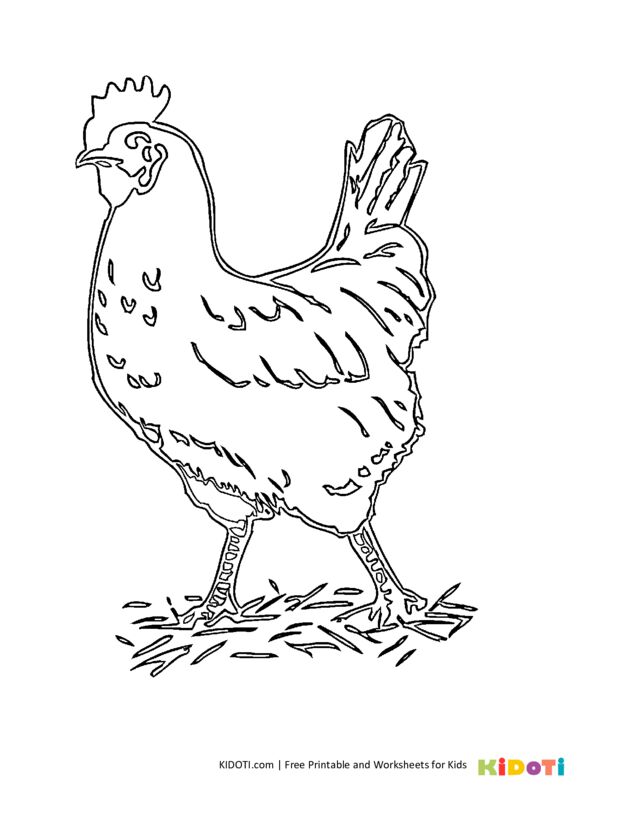 Realistic chicken coloring page