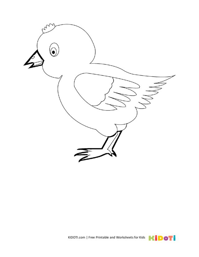 Baby chicken coloring page