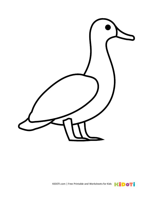 Duck coloring pages – KiDOTI